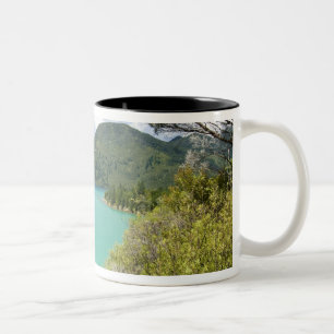 Caneca De Café Em Dois Tons Nova Zelândia, Ilha do Sul, Marlborough Sounds.
