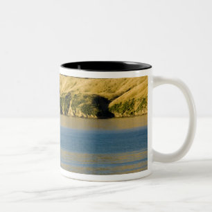 Caneca De Café Em Dois Tons Nova Zelândia, Ilha do Sul, Marlborough Sounds. 2