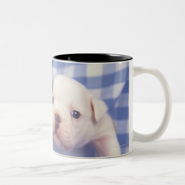 Caneca De Café Em Dois Tons O buldogue, chamado frequentemente o buldogue (Direita)
