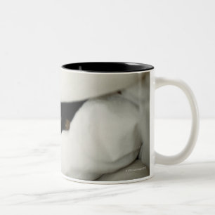 Caneca De Café Em Dois Tons O nariz de cão que cola para fora do fundamento