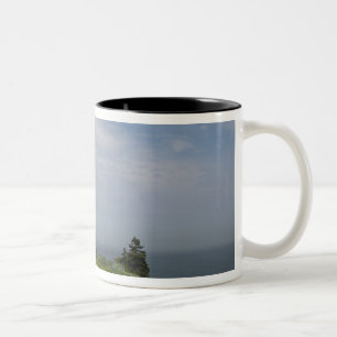 Caneca De Café Em Dois Tons O Parque Estadual do Farol West Quoddy Head é o