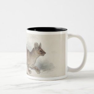 Caneca De Café Em Dois Tons O Polecat, século XIX
