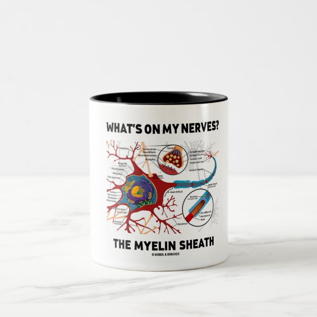 Caneca De Café Em Dois Tons O que há nos meus nervos? Myelin Sheath (Centro)