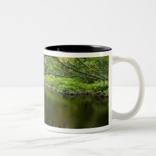 Caneca De Café Em Dois Tons O rio Taunton em Bridgewater, 2