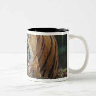Caneca De Café Em Dois Tons O tigre Cub dorme na rocha