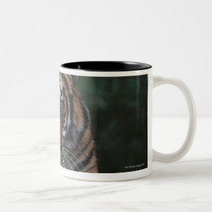 Caneca De Café Em Dois Tons O tigre Cub reclina na rocha