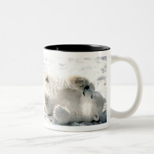 Caneca De Café Em Dois Tons O urso Cub polar agride