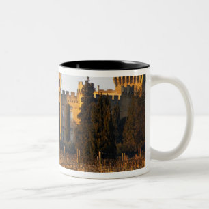 Caneca De Café Em Dois Tons O vinhedo com videiras syrah e o castelo
