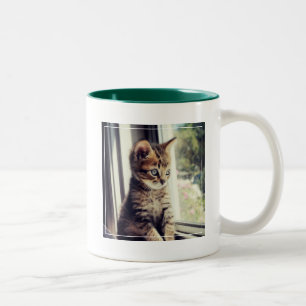 Caneca De Café Em Dois Tons Observação do gatinho do gato malhado