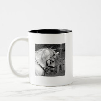 Caneca De Café Em Dois Tons Ode ao cavalo
