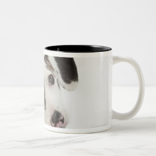 Caneca De Café Em Dois Tons Olhar fixamente fêmea do filhote de cachorro do
