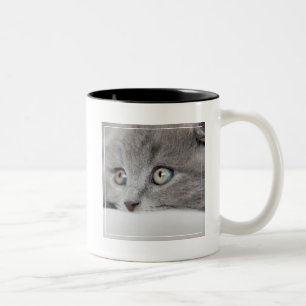 Caneca De Café Em Dois Tons Olhos de gato