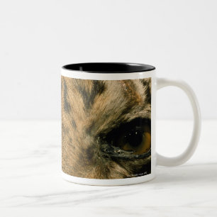 Caneca De Café Em Dois Tons Olhos do tigre