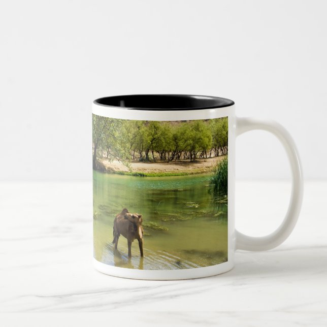 Caneca De Café Em Dois Tons Oman, Wadi darbat (Direita)