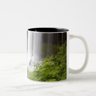 Caneca De Café Em Dois Tons Opinião borrada da cachoeira e da floresta em