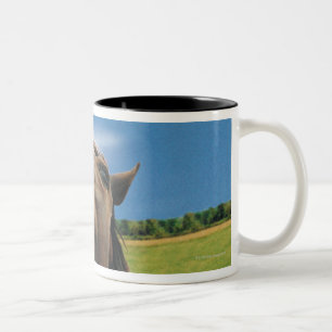 Caneca De Café Em Dois Tons opinião do Peixe-olho o cavalo