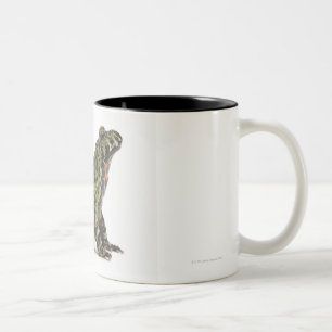 Caneca De Café Em Dois Tons Opinião lateral fogo oriental um sapo inchado