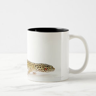 Caneca De Café Em Dois Tons Opinião lateral o lagarto do geco do leopardo