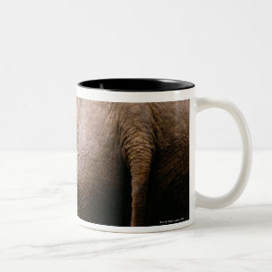 Caneca De Café Em Dois Tons Opinião traseira elefantes asiáticos