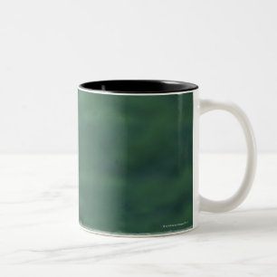 Caneca De Café Em Dois Tons Opinião um leão (Panthera leo) que coloca no