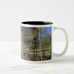 Caneca De Café Em Dois Tons OR, Condado de Jackson, McKee Covered Bridge