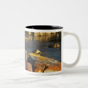 Caneca De Café Em Dois Tons Orange Lichen em Rocks, Binalo Bay, Bay de