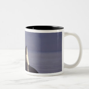 Caneca De Café Em Dois Tons Orca assassina (Orca orcinus) em spyhopping perto