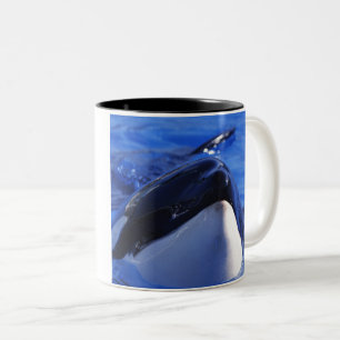 Caneca De Café Em Dois Tons orca. Baleia de assassino