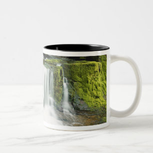 Caneca De Café Em Dois Tons Oregon, Cachoeira no parque nacional Willamette