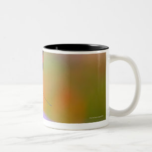 Caneca De Café Em Dois Tons oregon, EUA 2