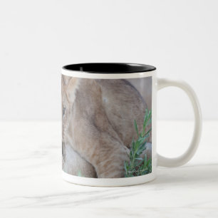 Caneca De Café Em Dois Tons Orelha cortante das mães do filhote do leão