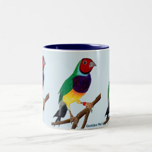 Caneca De Café Em Dois Tons ~ original da arte do ~ do passarinho de Gouldian