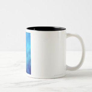 Caneca De Café Em Dois Tons Os anthias de Bartlett