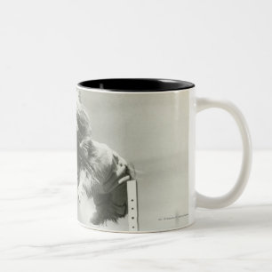 Caneca De Café Em Dois Tons Os cães que saltam sobre o bar diminuto do salto