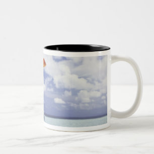 Caneca De Café Em Dois Tons Os peixes que saltam do aquário
