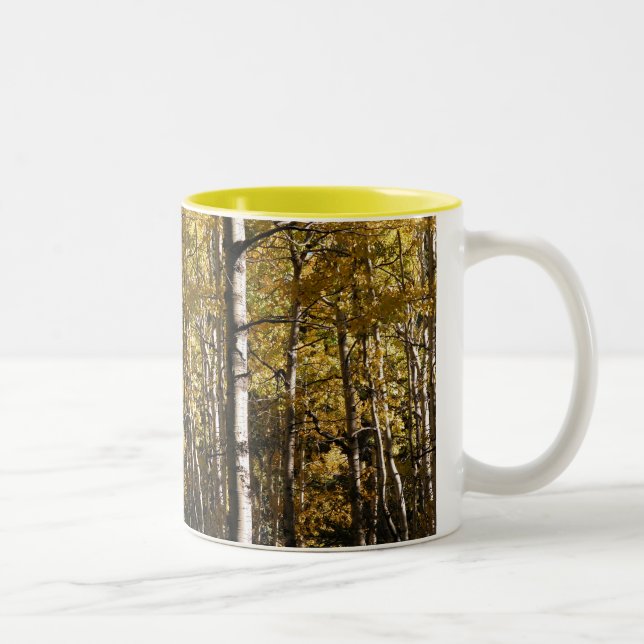 Caneca De Café Em Dois Tons Ouro de Aspen (Direita)