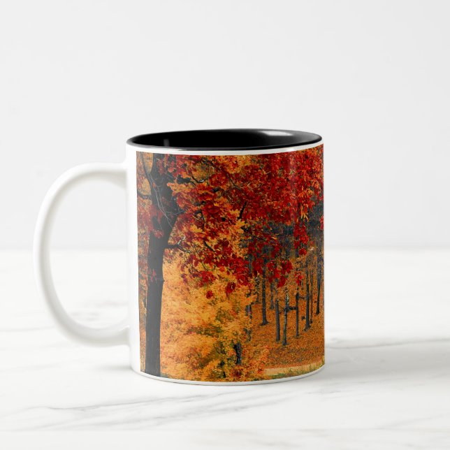 Caneca De Café Em Dois Tons outono na floresta (Esquerda)