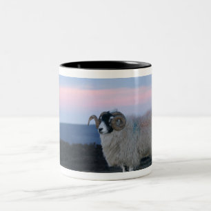 Caneca De Café Em Dois Tons Ovelha