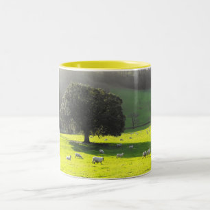 Caneca De Café Em Dois Tons Ovelha ao sol da manhã
