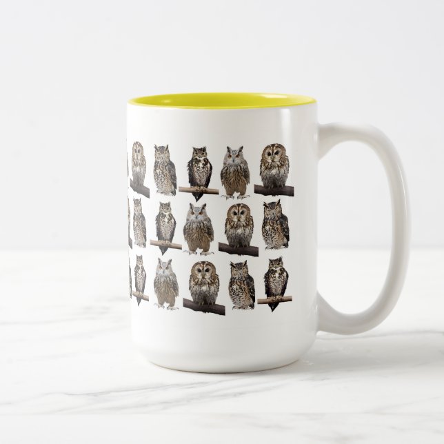 Caneca De Café Em Dois Tons Owls (Direita)