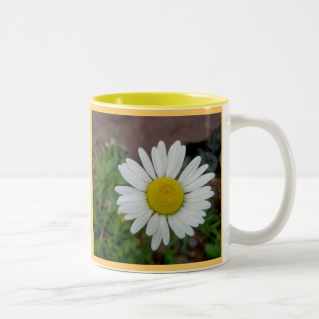 Caneca De Café Em Dois Tons Ox-Eye Daisy 11 Oz Mug (Direita)