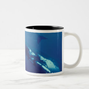 Caneca De Café Em Dois Tons Pacífico Sul, Tonga. baleia-jubarte e filhote