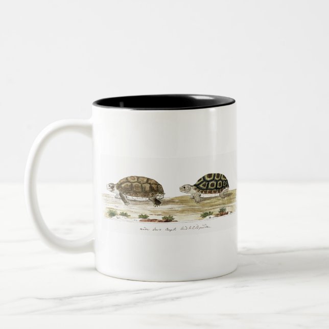 Caneca De Café Em Dois Tons Padloper Tortoise (Esquerda)