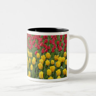 Caneca De Café Em Dois Tons Padrão de jardim de tulipas, Jardins Keukenhof, 2