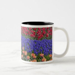 Caneca De Café Em Dois Tons Padrão de tulipas e de flores de Hyacinth de Uvas