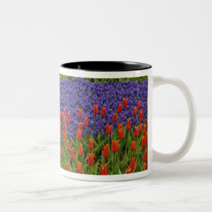 Caneca De Café Em Dois Tons Padrão de tulipas e flores de acinth de uva, 2