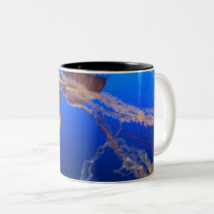 Caneca De Café Em Dois Tons Paisagem Bela