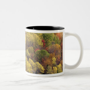 Caneca De Café Em Dois Tons Paisagem de outono, Vermont, EUA 2