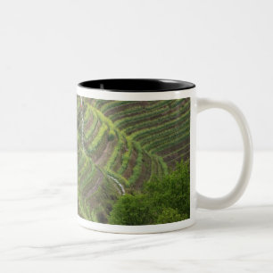 Caneca De Café Em Dois Tons Paisagem de terraços de arroz na montanha,