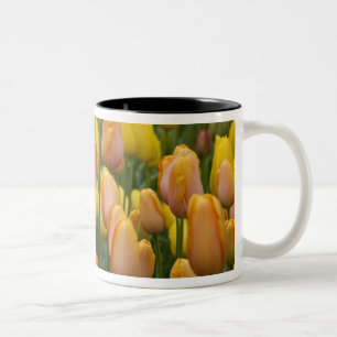 Caneca De Café Em Dois Tons Países Baixos (também conhecido como Holanda), Lis